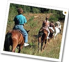 Horse Safari Rajasthan - National Park India