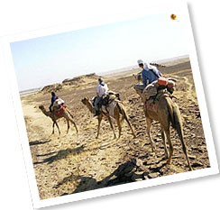 Rajasthan Camel Safari Tour, Rajasthan Safari Tour